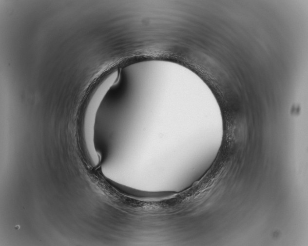 X0000097900256200804111052