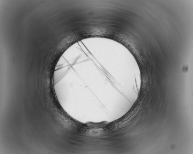 X0000097900257200804111052
