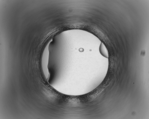 X0000097900258200804111052