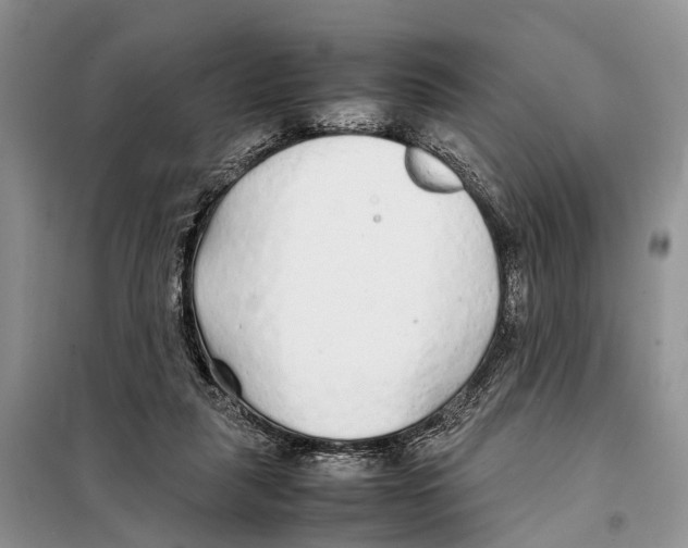 X0000097900259200804111052