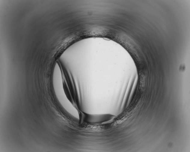 X0000097900260200804111052