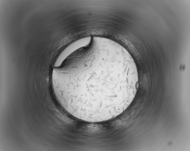 X0000097900261200804111052
