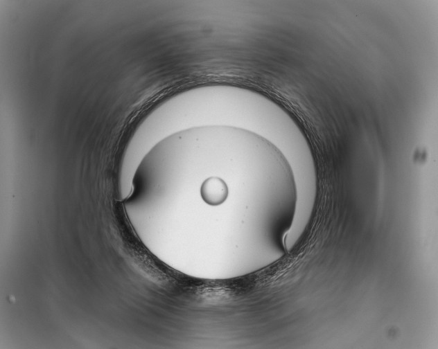 X0000097900262200804111052