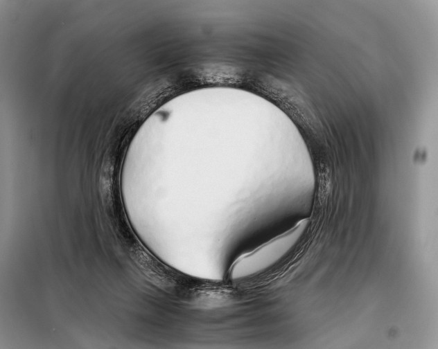 X0000097900263200804111052