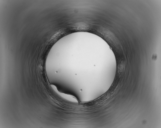 X0000097900264200804111052