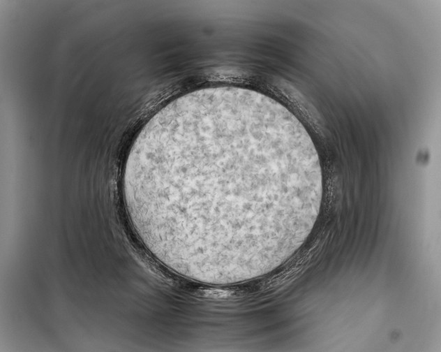 X0000097900265200804111052
