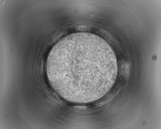 X0000097900266200804111052