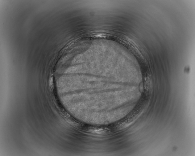 X0000097900267200804111053