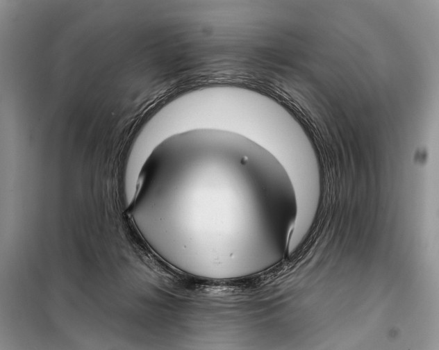 X0000097900268200804111053