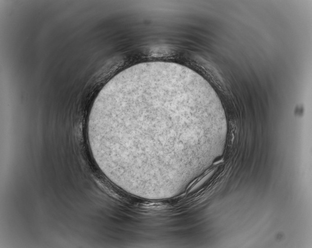 X0000097900269200804111053