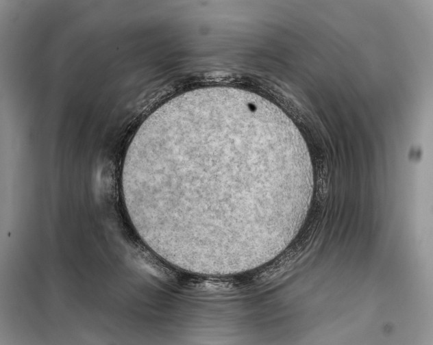 X0000097900270200804111053