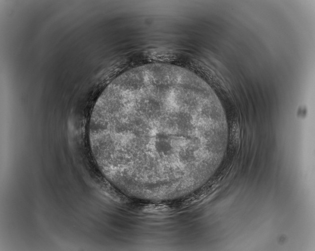 X0000097900271200804111053