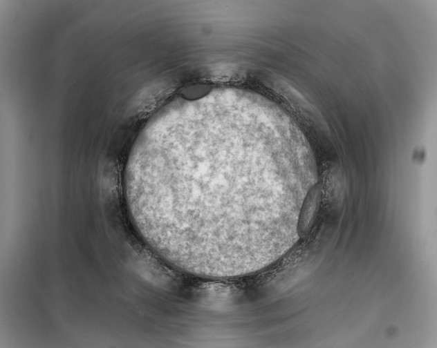 X0000097900272200804111053