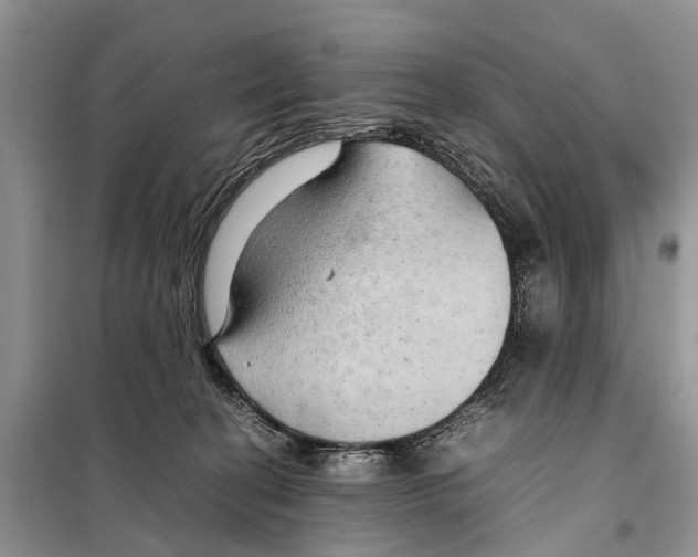 X0000097900274200804111053