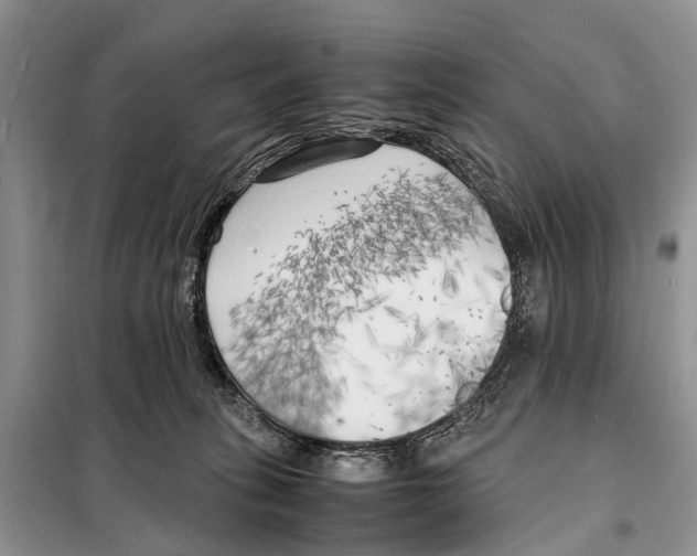 X0000097900275200804111053