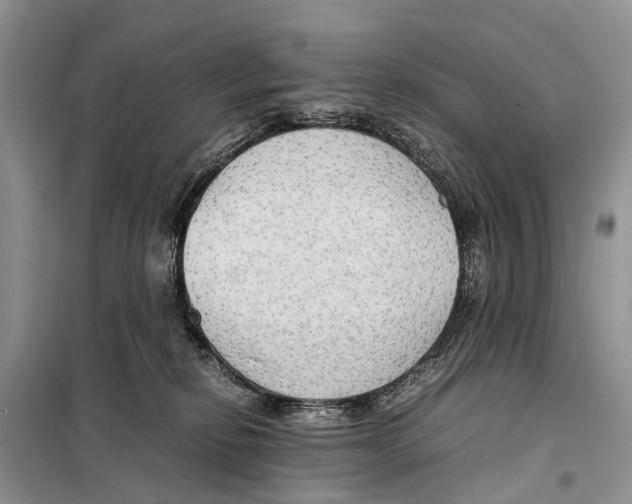 X0000097900278200804111053