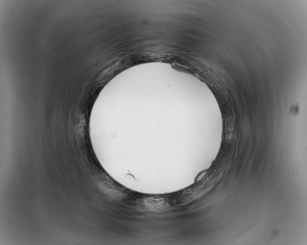 X0000097900279200804111053