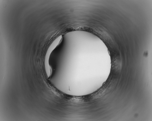 X0000097900280200804111053