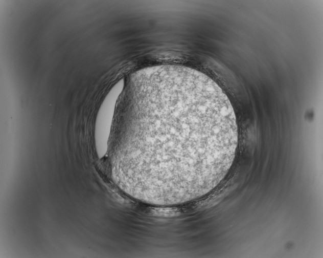 X0000097900281200804111053