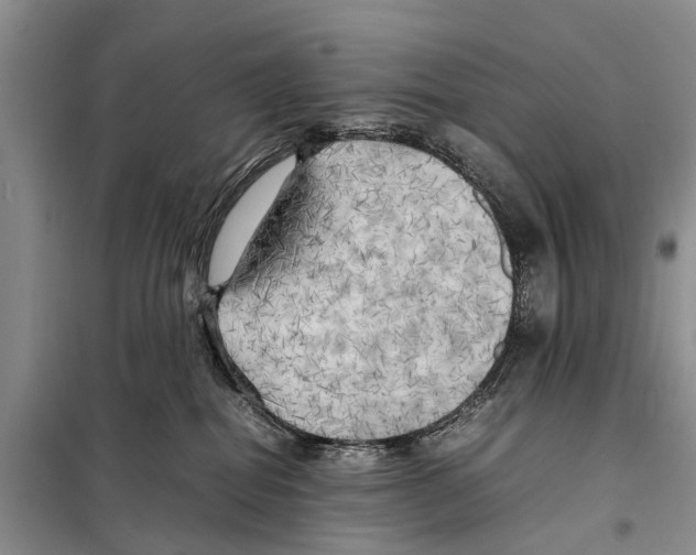 X0000097900282200804111053