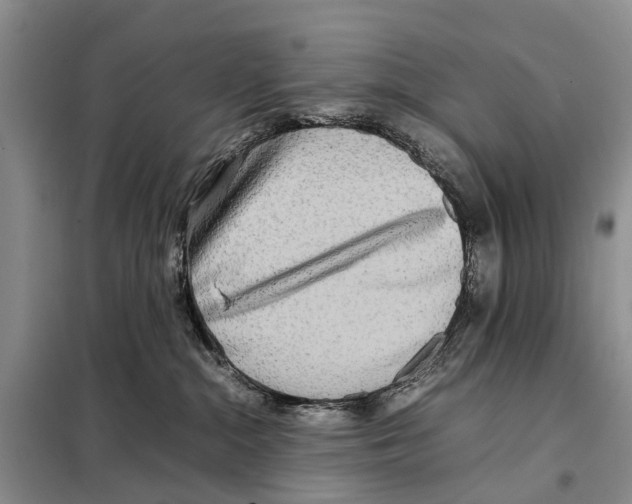 X0000097900284200804111053