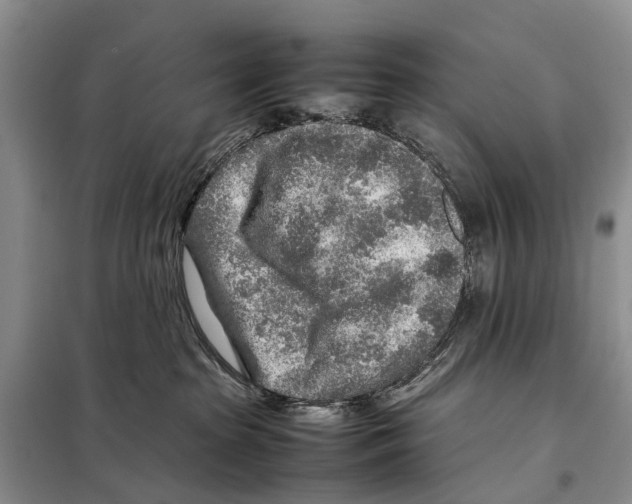 X0000097900285200804111053