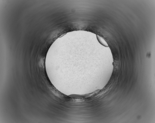 X0000097900286200804111053