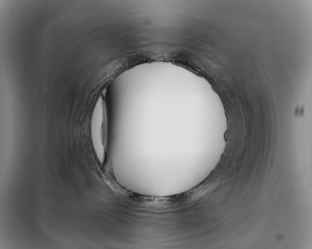 X0000097900288200804111053