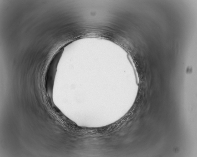 X0000097900289200804111052