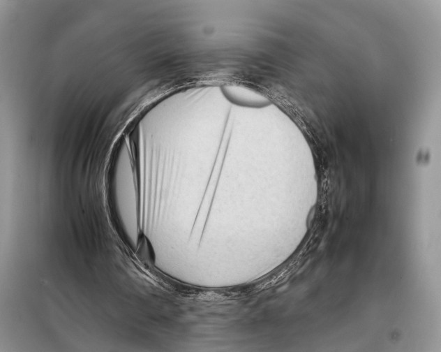 X0000097900290200804111052