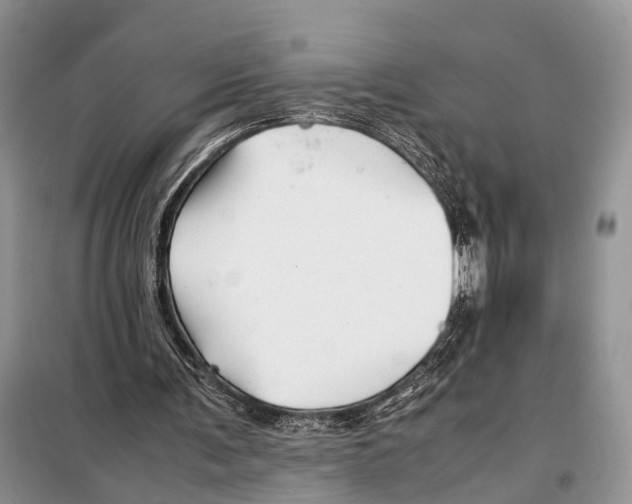 X0000097900291200804111052