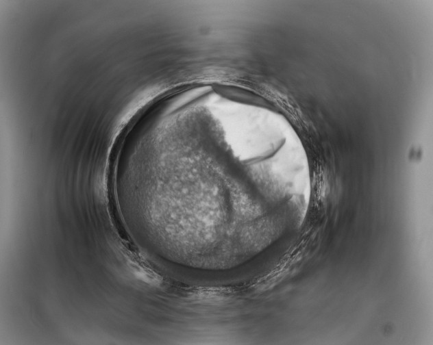 X0000097900292200804111052