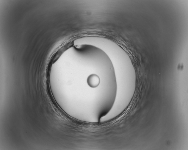 X0000097900293200804111052