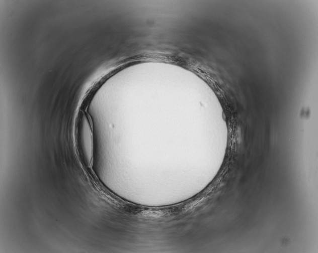 X0000097900294200804111052