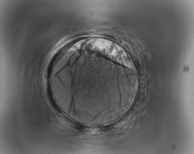 X0000097900295200804111052