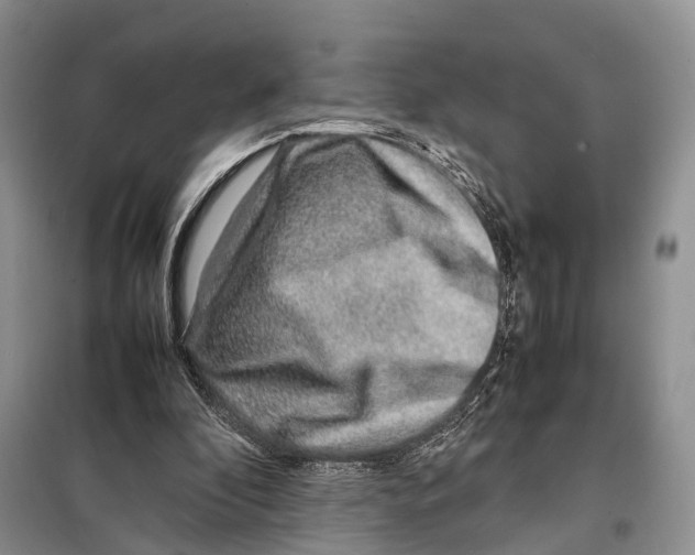 X0000097900296200804111052