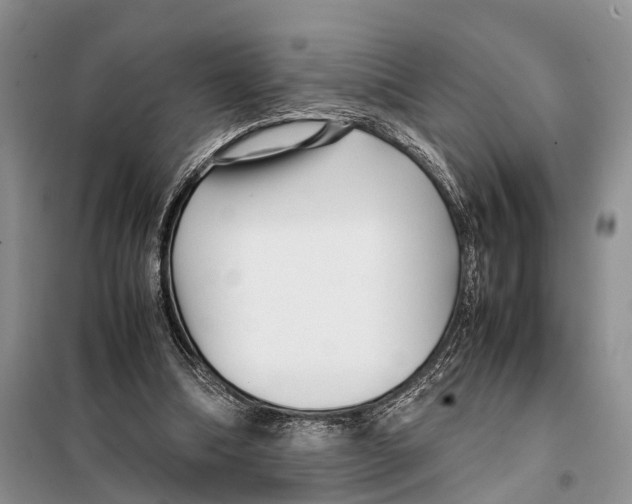 X0000097900298200804111052