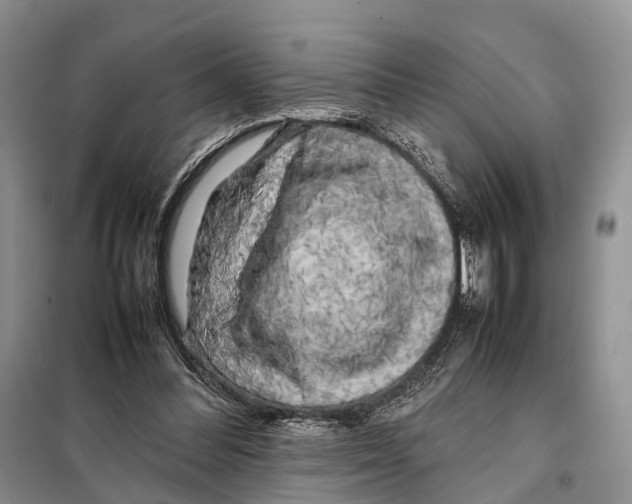 X0000097900300200804111052