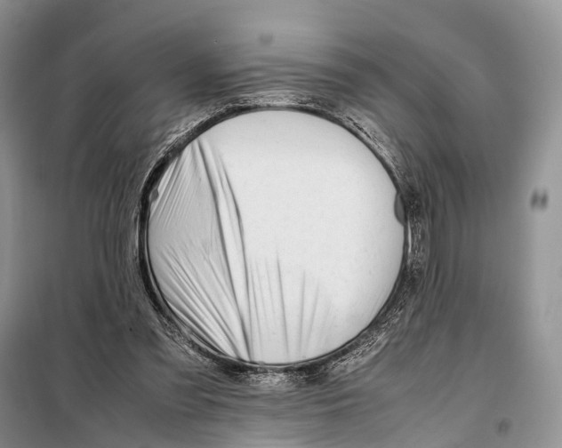 X0000097900301200804111052