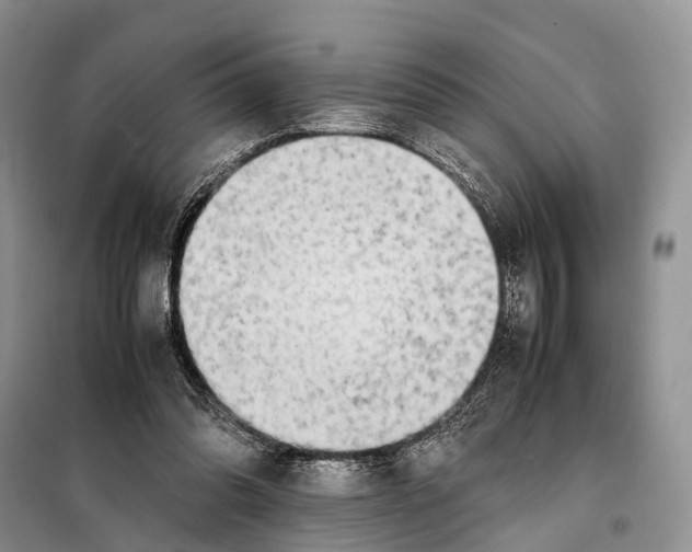 X0000097900302200804111052