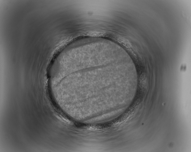 X0000097900303200804111052