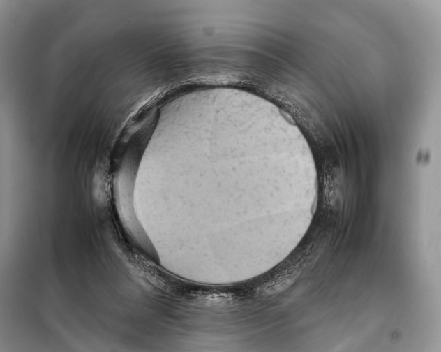 X0000097900304200804111052