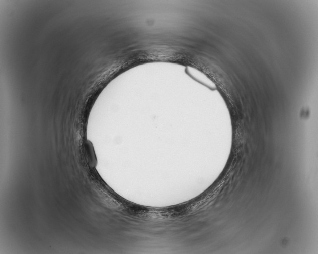 X0000097900305200804111052