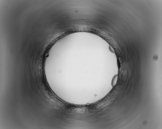 X0000097900306200804111052