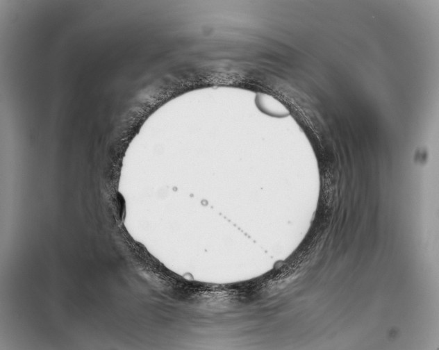 X0000097900307200804111052