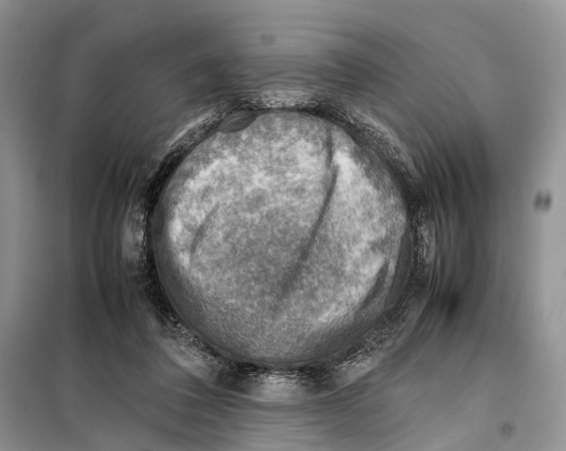 X0000097900308200804111052