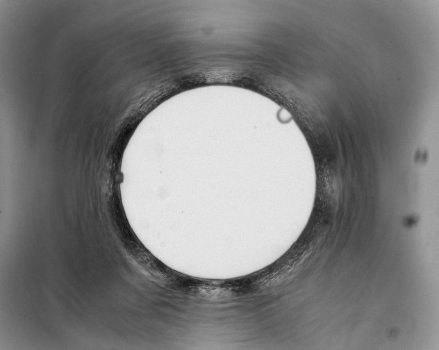 X0000097900311200804111052