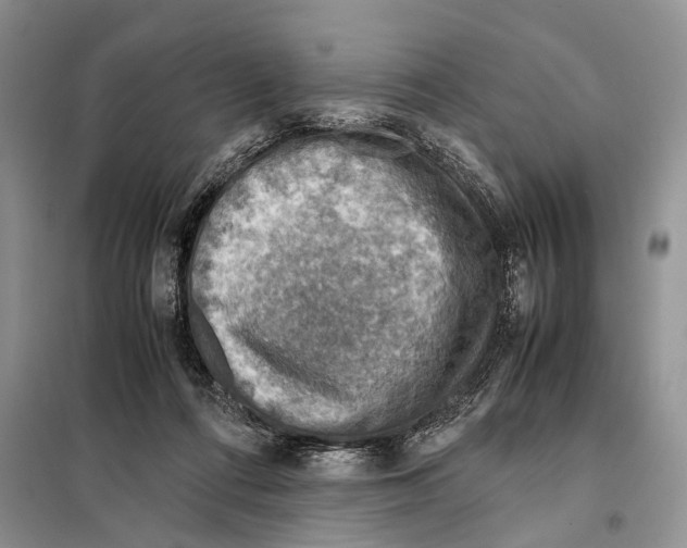 X0000097900312200804111052