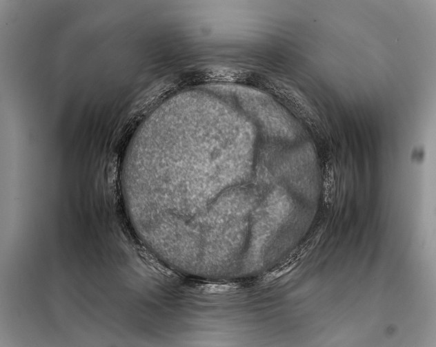 X0000097900314200804111052