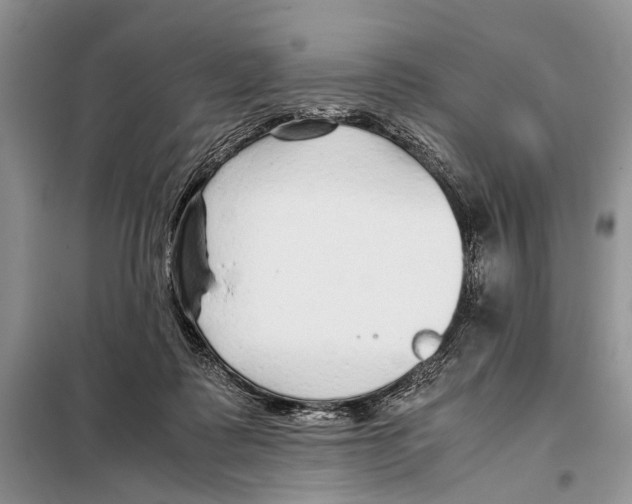 X0000097900315200804111052